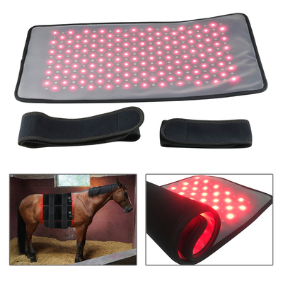 OEM- RED LED light therapy bed 660nm 850nm red and infrared led machine for body