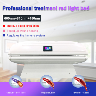 व्यावसायिक उपयोग के लिए सुयज़ेको ओईएम वेलनेस सेंटर एलईडी लाइट फोटोडायनामिक बॉडी कंटूरिंग 635nm 880nm रेड लाइट थेरेपी बेड
